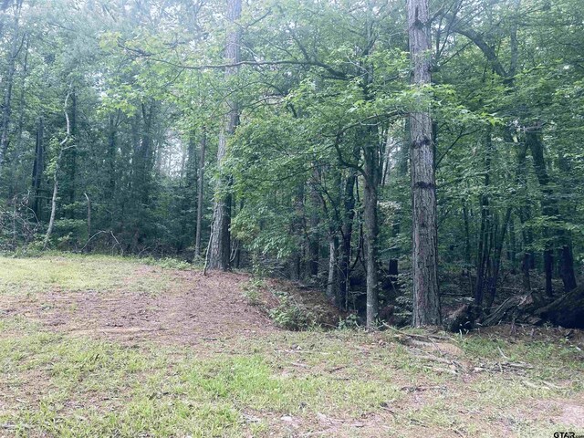 TBD Brandon St, Troup, TX 75789 - photo 5