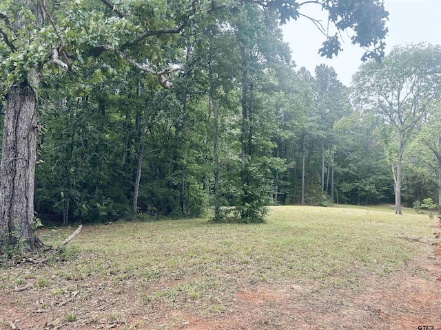 TBD Brandon St, Troup, TX 75789 - photo 6
