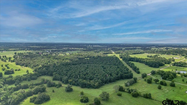 Listing photo 3 for TBD Vz County Road 4518, Van TX 75790