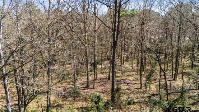 192 County Road 4586, Winnsboro, TX 75494