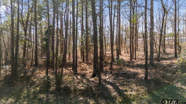 192 County Road 4586, Winnsboro, TX 75494