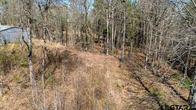 192 County Road 4586, Winnsboro, TX 75494
