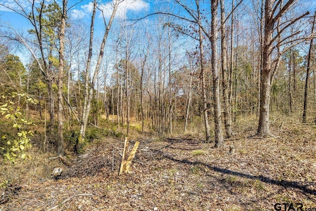 192 County Road 4586, Winnsboro, TX 75494