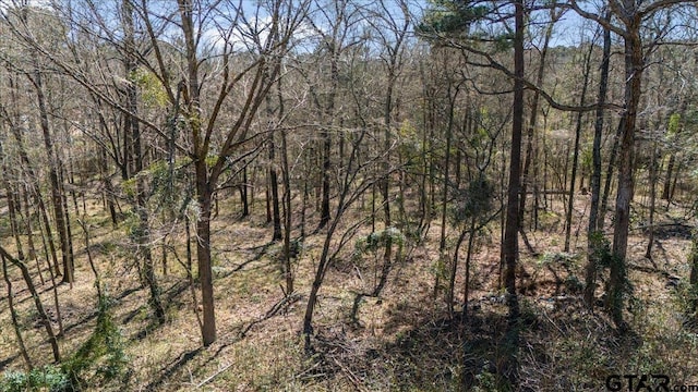 192 County Road 4586, Winnsboro, TX 75494
