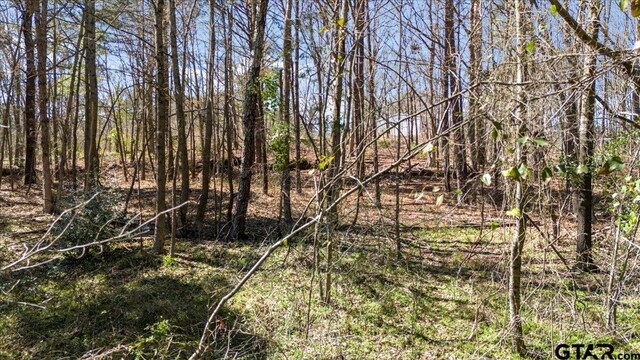 192 County Road 4586, Winnsboro, TX 75494