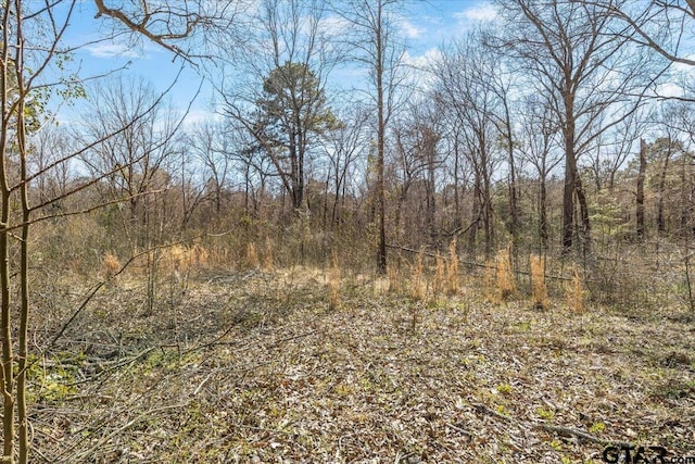 192 County Road 4586, Winnsboro, TX 75494