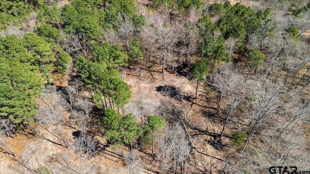 192 County Road 4586, Winnsboro, TX 75494