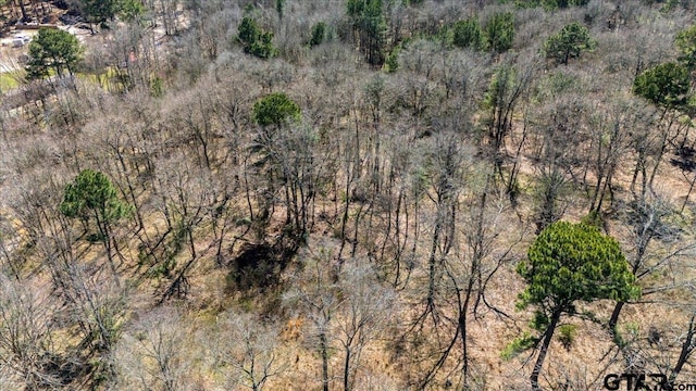 192 County Road 4586, Winnsboro, TX 75494