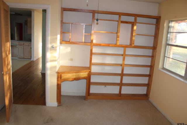 interior space featuring baseboards and carpet floors