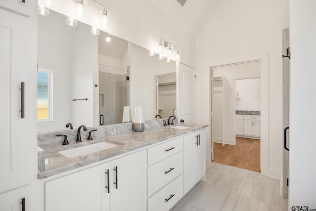 bathroom featuring lofted ceiling, a shower with shower door, and vanity