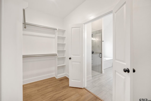 spacious closet featuring hardwood / wood-style flooring