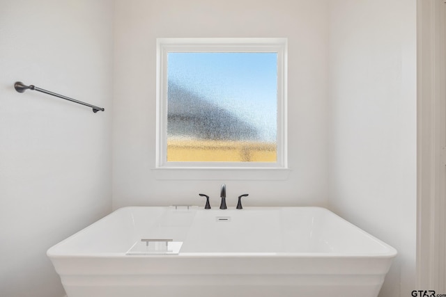 bathroom featuring a tub and a healthy amount of sunlight