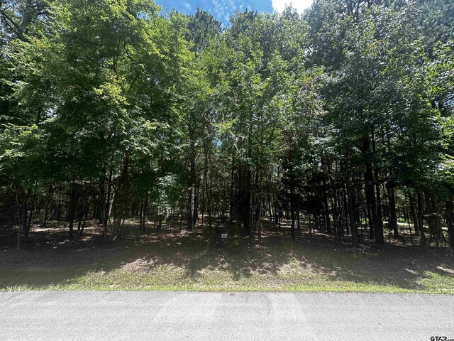 15212 Maple Leaf Cir, Tyler, TX 75707