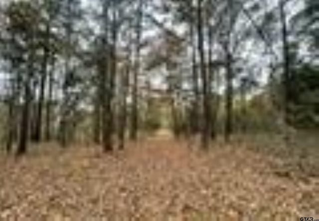 13050 Timber Creek Dr, Flint, TX 75762 - photo 2