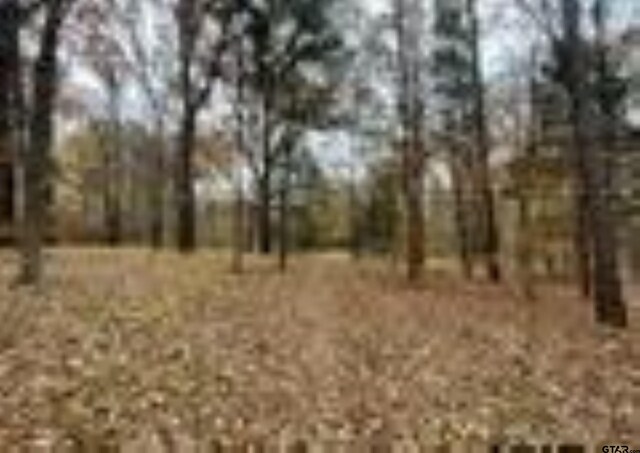 13050 Timber Creek Dr, Flint, TX 75762 - photo 8