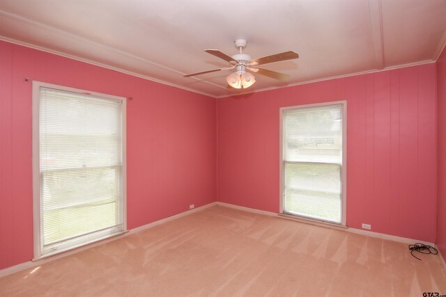 carpeted empty room with ceiling fan and ornamental molding