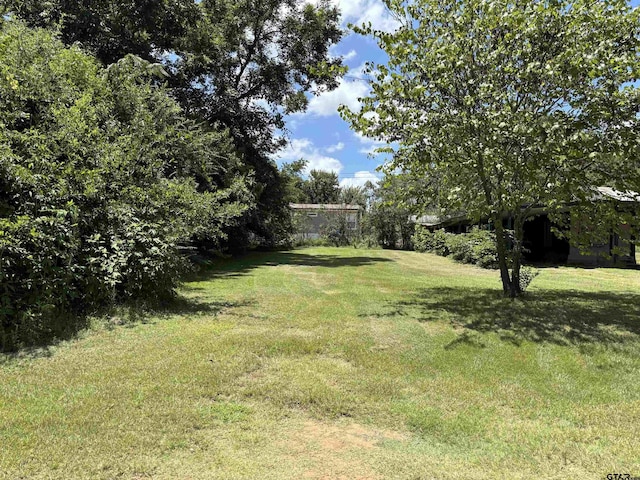 11292 Clover Ln, Frankston, TX 75763 - photo 3