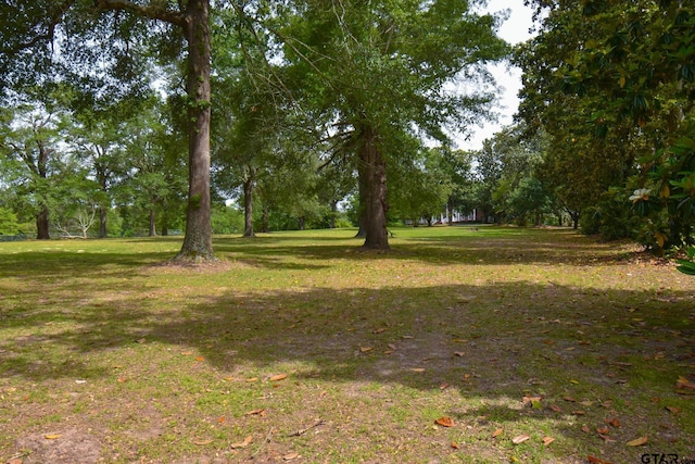 510 E Longview St, Arp, TX 75750 - view of green lawn