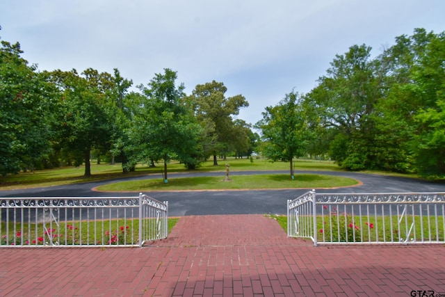 510 E Longview St, Arp, TX 75750 - view of community with a gate and curved driveway