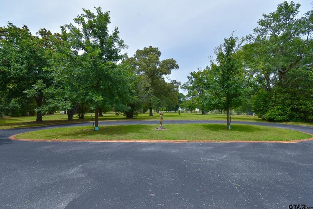 510 E Longview St, Arp, TX 75750 - view of street