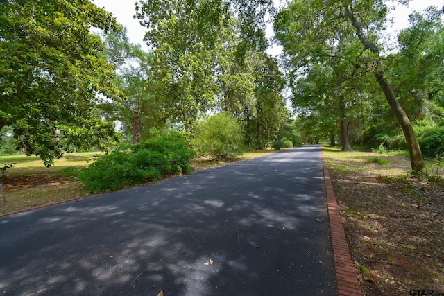 510 E Longview St, Arp, TX 75750 - view of asphalt street