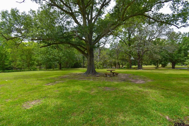 510 E Longview St, Arp, TX 75750 - view of green lawn