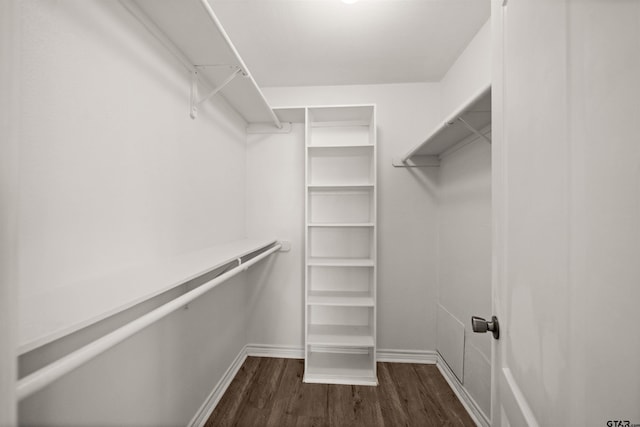 walk in closet featuring dark wood-type flooring