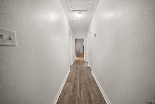 corridor featuring dark hardwood / wood-style flooring