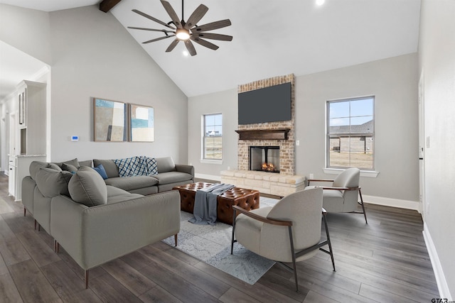 living room featuring a wealth of natural light, dark hardwood / wood-style floors, beamed ceiling, and a fireplace