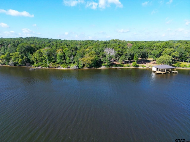 Listing photo 3 for 3146 Shadow Pine Dr, Larue TX 75770