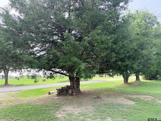 3755 Fm 2225, Quitman, TX 75783 - photo 8
