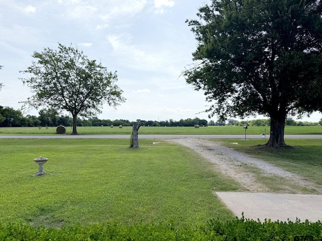 3755 Fm 2225, Quitman, TX 75783 - photo 7