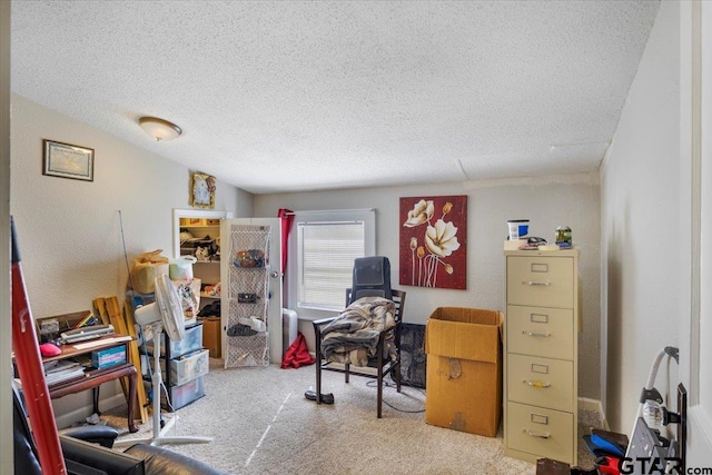 carpeted home office with a textured ceiling