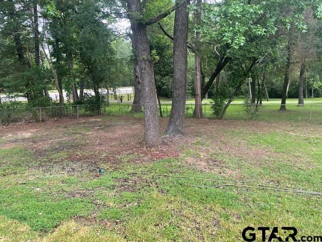 110 Alpine Dr, Tyler, TX 75701 - view of yard