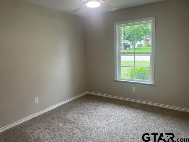 110 Alpine Dr, Tyler, TX 75701 - unfurnished room with carpet flooring, healthy amount of natural light, and ceiling fan