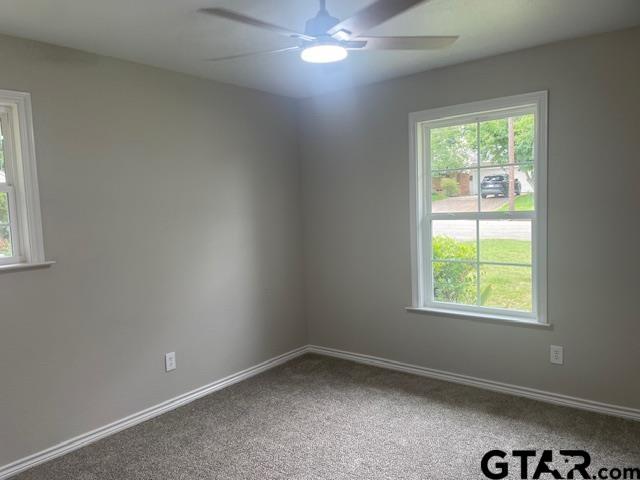 110 Alpine Dr, Tyler, TX 75701 - unfurnished room featuring ceiling fan, plenty of natural light, and carpet floors