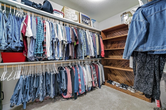 spacious closet featuring carpet flooring