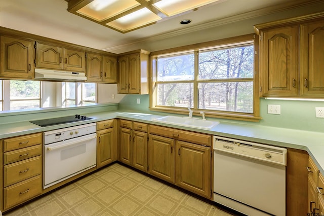 kitchen featuring crown molding, sink, and white appliances