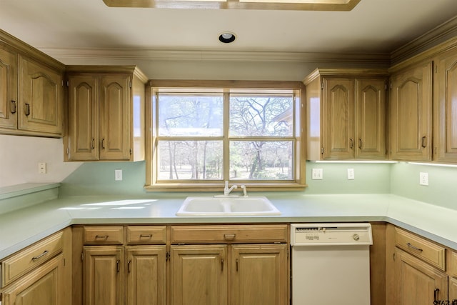 kitchen featuring dishwasher, ornamental molding, and sink