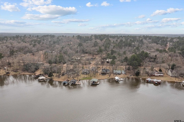 bird's eye view with a view of trees and a water view