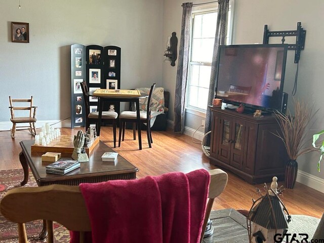 living room featuring light hardwood / wood-style flooring