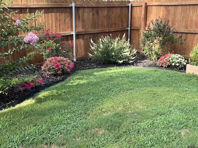 9035 Shallow Cv, Tyler, TX 75703 - view of yard