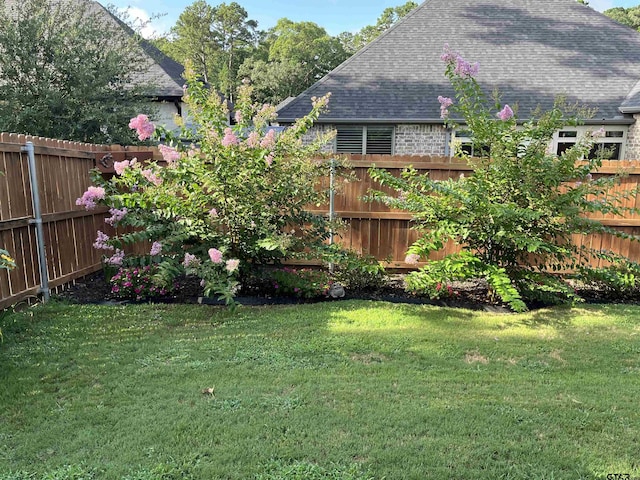 9035 Shallow Cv, Tyler, TX 75703 - view of yard