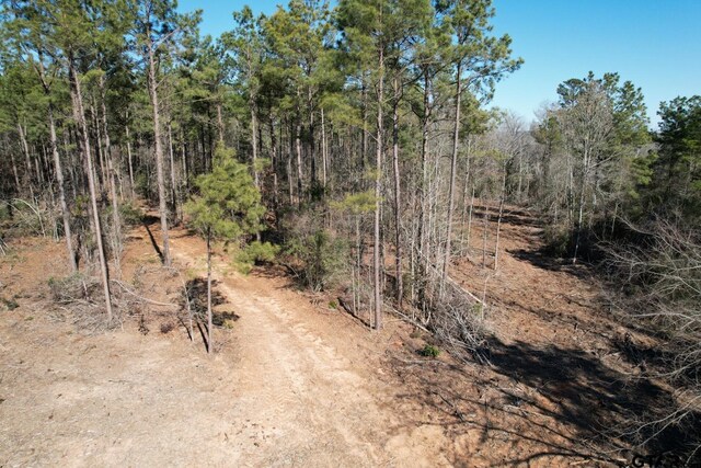 TBD-D County Road 3198, Mount Enterprise, TX 75681