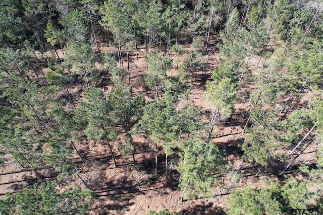 TBD-D County Road 3198, Mount Enterprise, TX 75681