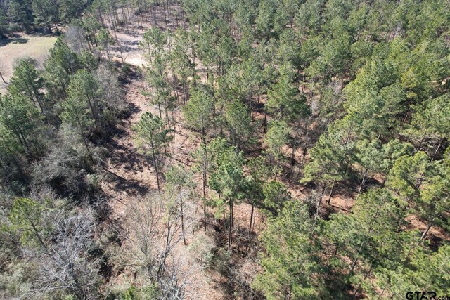 TBD-D County Road 3198, Mount Enterprise, TX 75681