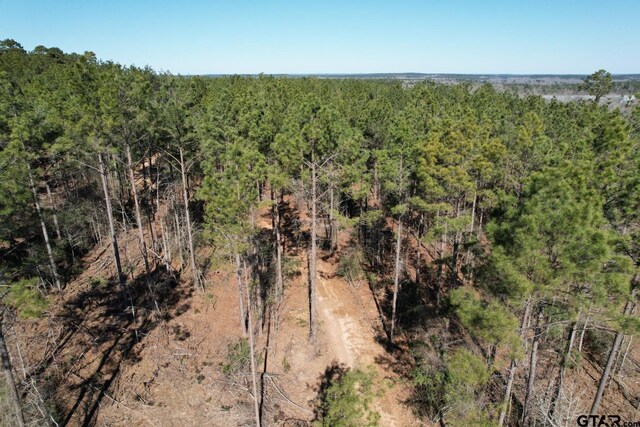 TBD-D County Road 3198, Mount Enterprise, TX 75681