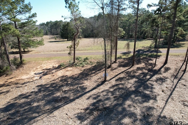 TBD-D County Road 3198, Mount Enterprise, TX 75681