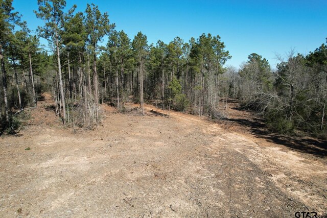 TBD-D County Road 3198, Mount Enterprise, TX 75681
