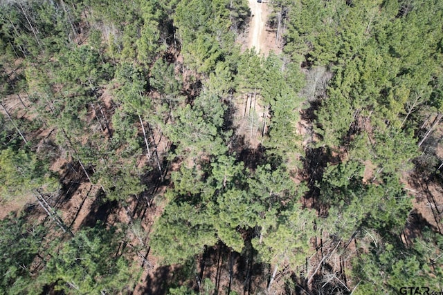 TBD-D County Road 3198, Mount Enterprise, TX 75681
